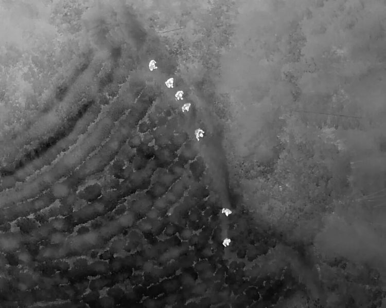 四人进山徒步迷路 “空地联动”成功救援! 四人进山徒步迷路 “空地联动”成功救援!