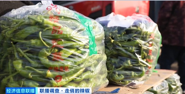 价格飙涨，好货更抢手！这一市场正火爆，很多人冬天离不开它