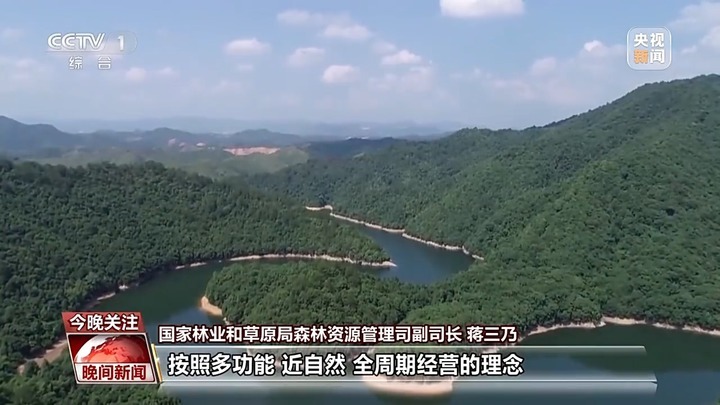 电影票房超500亿、AI赋能传统产业……中国活力持续迸发