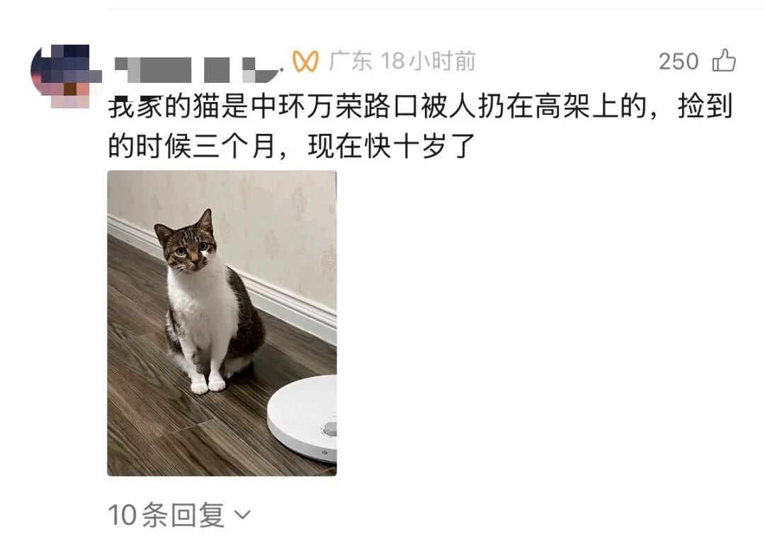 上海内环高架,著名高校教授突然冒险刹车,救下小生命!后续发展太暖了 上海内环高架,著名高校教授突然冒险刹车,救下小生命!后续发展太暖了