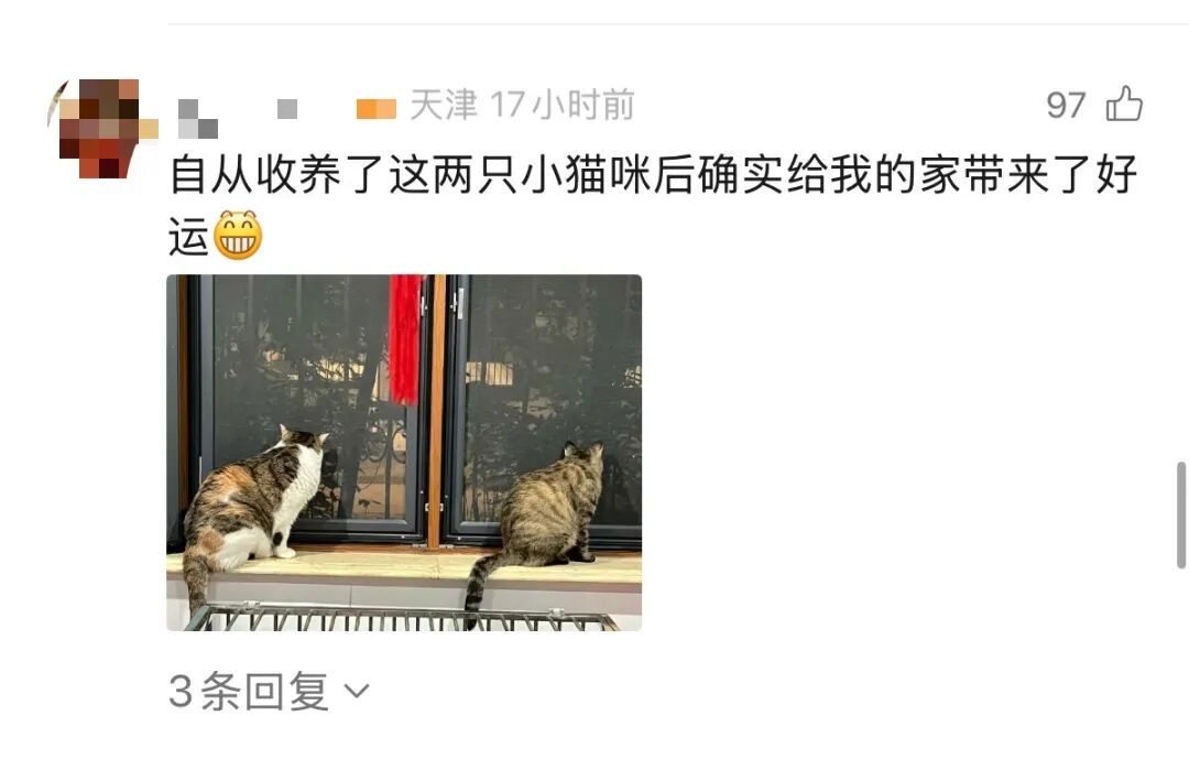 事发上海高架!交大教授突然下车!网友热议,交警提醒! 事发上海高架!交大教授突然下车!网友热议,交警提醒!