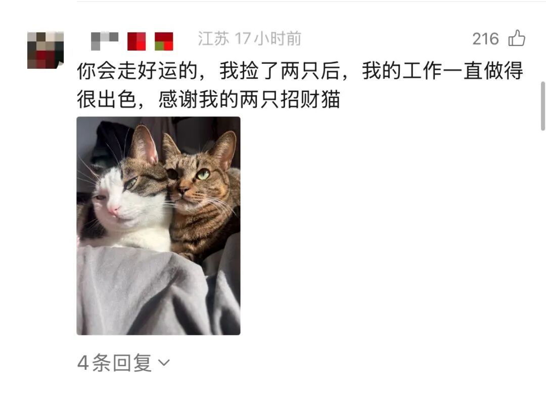 事发上海高架!交大教授突然下车!网友热议,交警提醒! 事发上海高架!交大教授突然下车!网友热议,交警提醒!