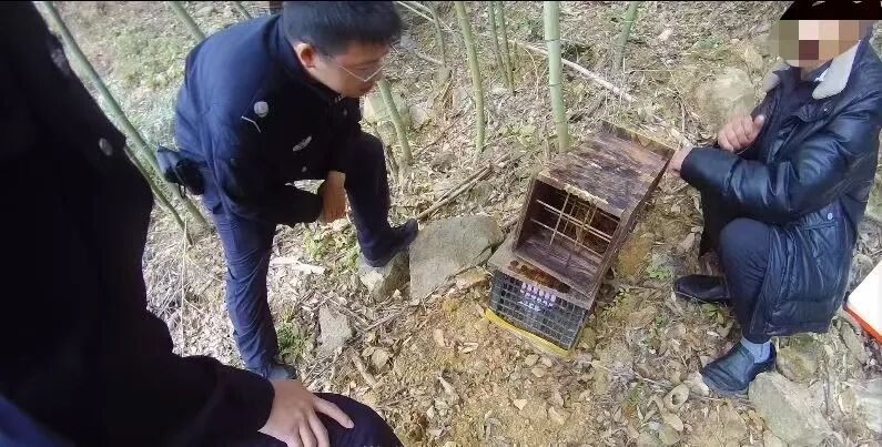 两派蜜蜂打起来了,伤亡惨重!民警直接上门…… 两派蜜蜂打起来了,伤亡惨重!民警直接上门……
