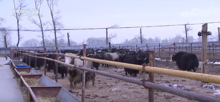 多部门协同联动应对寒潮 为居民生产生活取暖提供有力保障