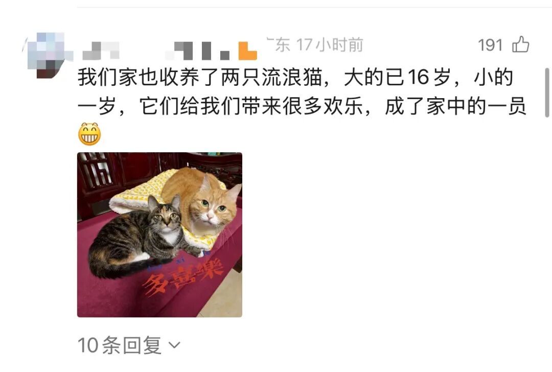 事发上海高架!交大教授突然下车!网友热议,交警提醒! 事发上海高架!交大教授突然下车!网友热议,交警提醒!