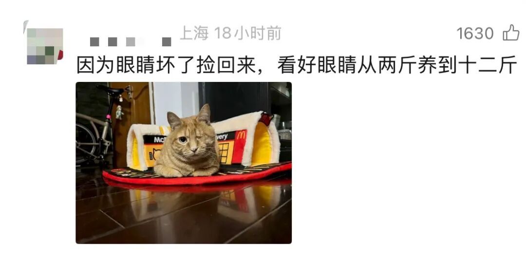 事发上海高架!交大教授突然下车!网友热议,交警提醒! 事发上海高架!交大教授突然下车!网友热议,交警提醒!