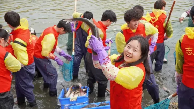 江苏这所高校，又请学生吃鱼了