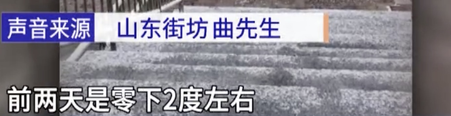 罕见!东莞一棵荔枝树居然在12月结果了 罕见!东莞一棵荔枝树居然在12月结果了