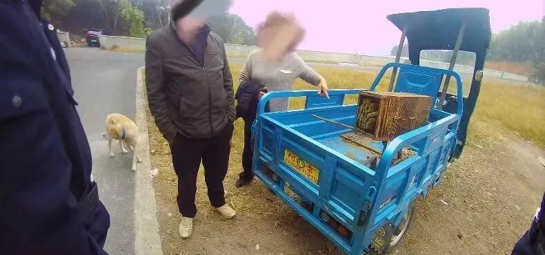 两派蜜蜂打起来了,伤亡惨重!民警直接上门…… 两派蜜蜂打起来了,伤亡惨重!民警直接上门……