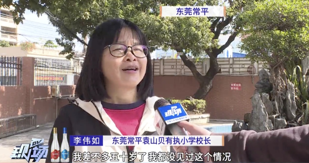 罕见!东莞一棵荔枝树居然在12月结果了 罕见!东莞一棵荔枝树居然在12月结果了