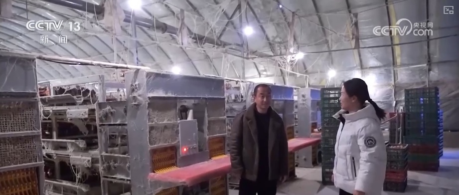 多部门协同联动应对寒潮 为居民生产生活取暖提供有力保障