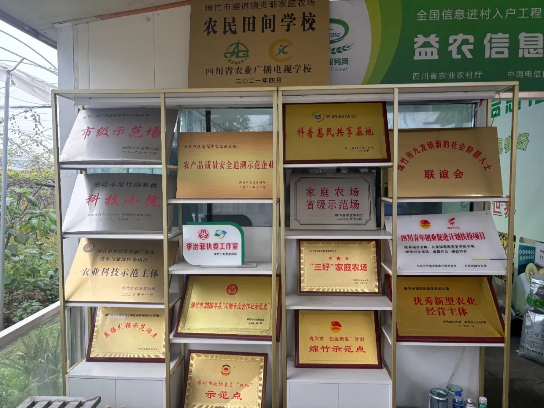 “学霸”夫妻回乡创业,80亩果园年入百万元! “学霸”夫妻回乡创业,80亩果园年入百万元!