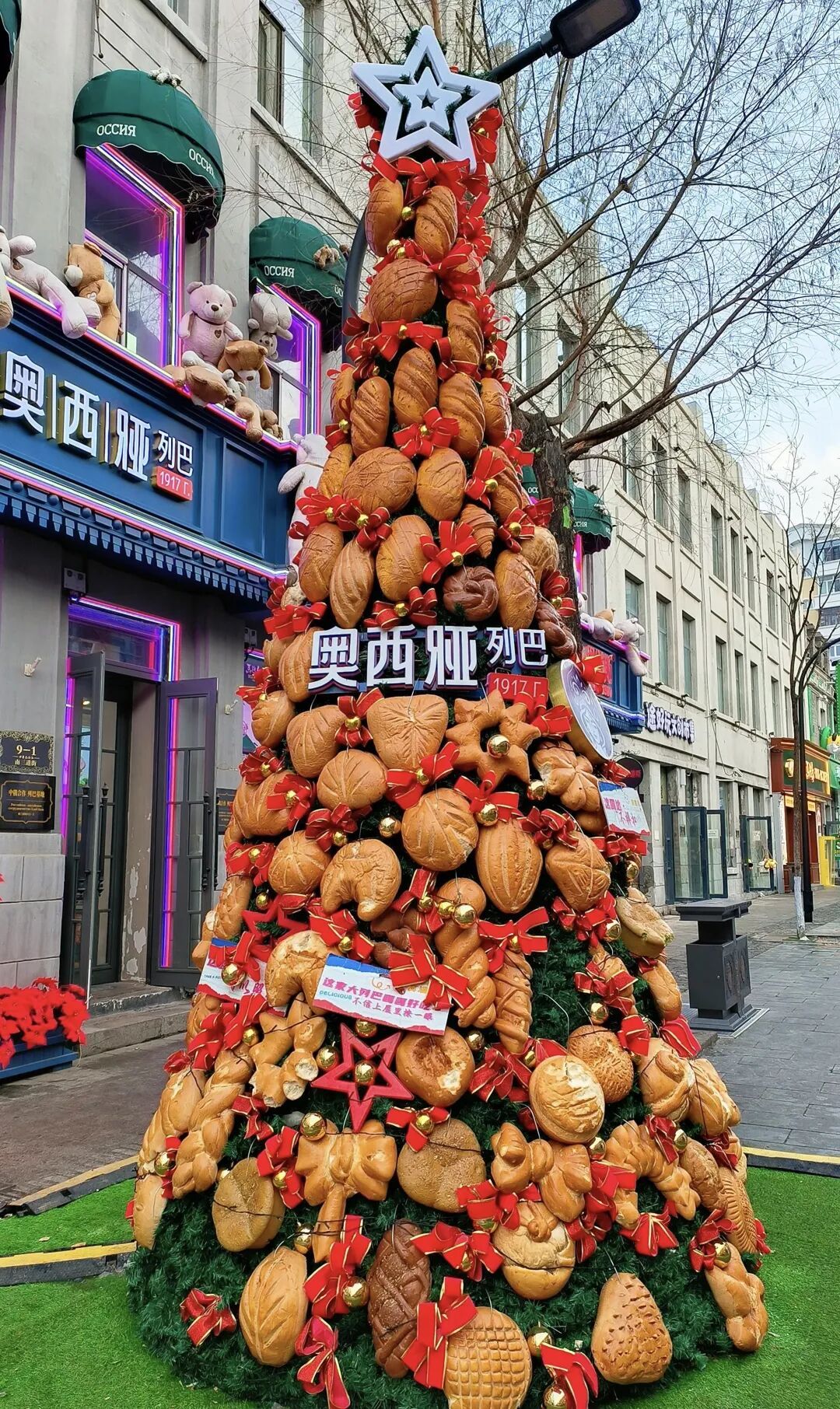 哈尔滨面包圣诞树成小鸟“冬日食堂”!面包店:吃完就补,还计划做面包鸟窝助过冬 哈尔滨面包圣诞树成小鸟“冬日食堂”!面包店:吃完就补,还计划做面包鸟窝助过冬