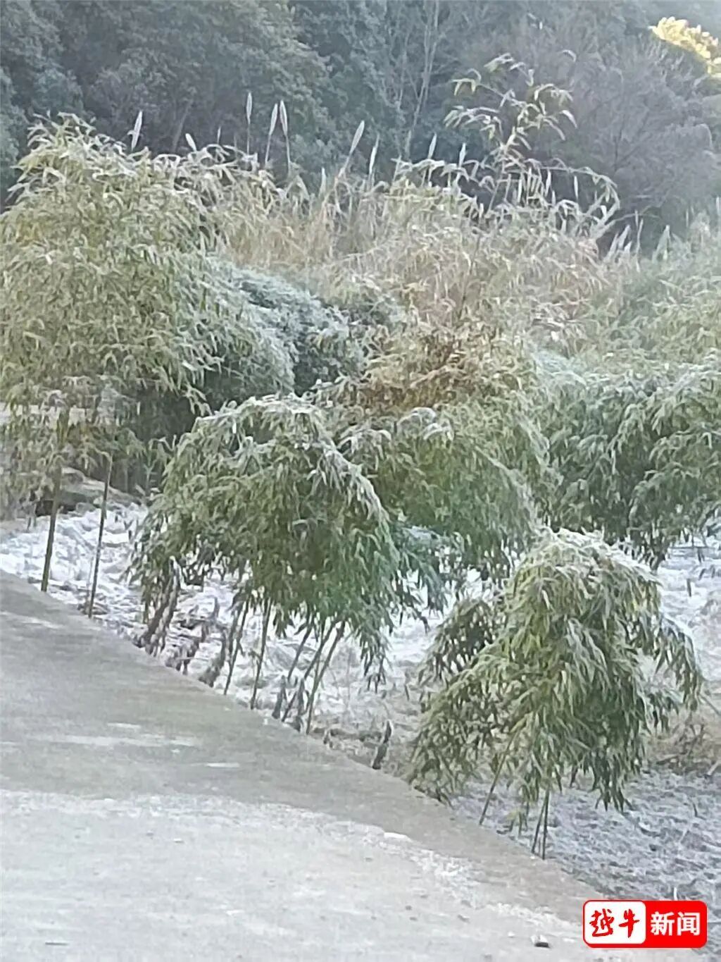-7℃！绍兴初雪有消息了