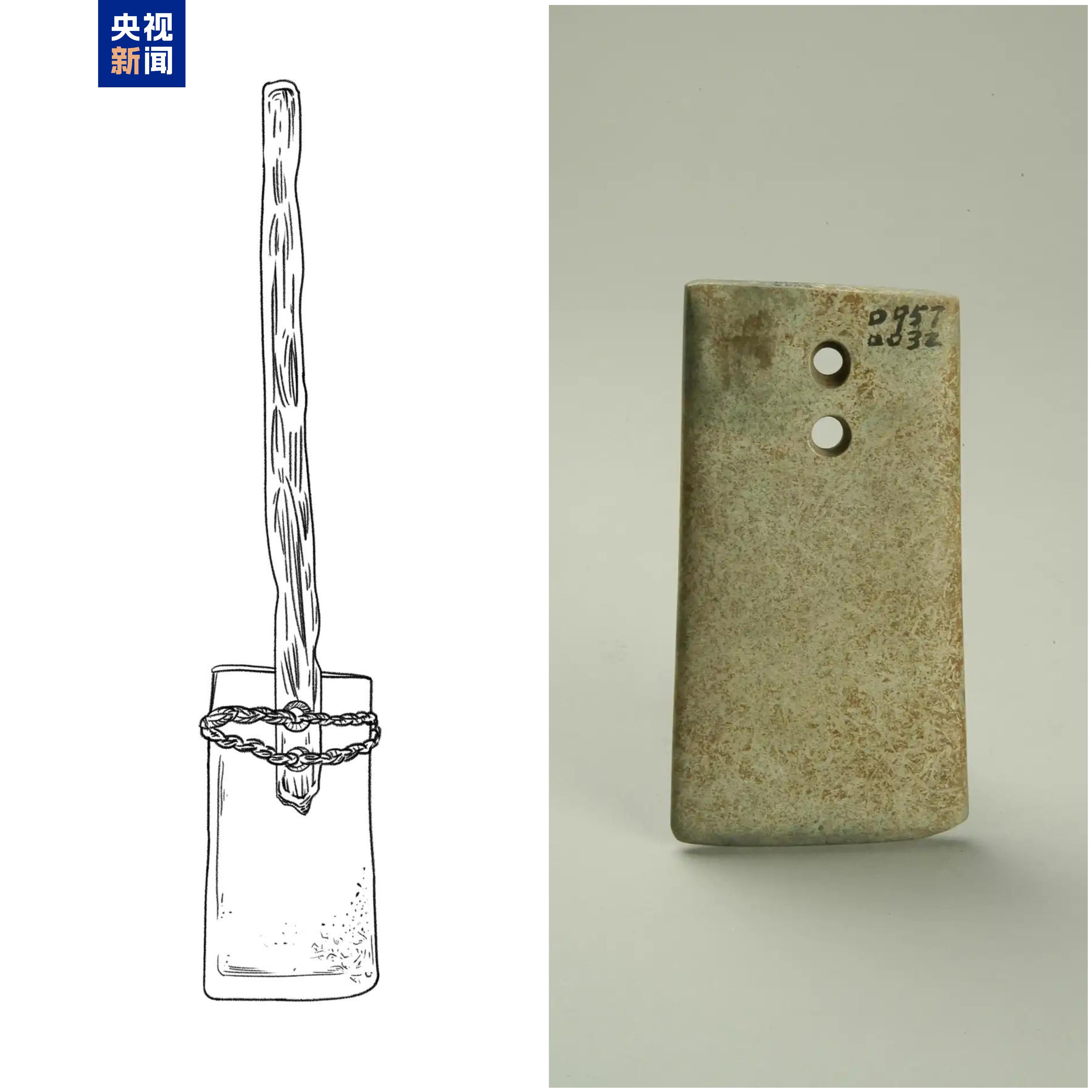 这件4500岁的农具为啥不干农活? 这件4500岁的农具为啥不干农活?