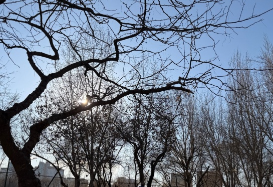 辽宁“限定”回暖!大幅降温马上就到…… 辽宁“限定”回暖!大幅降温马上就到……