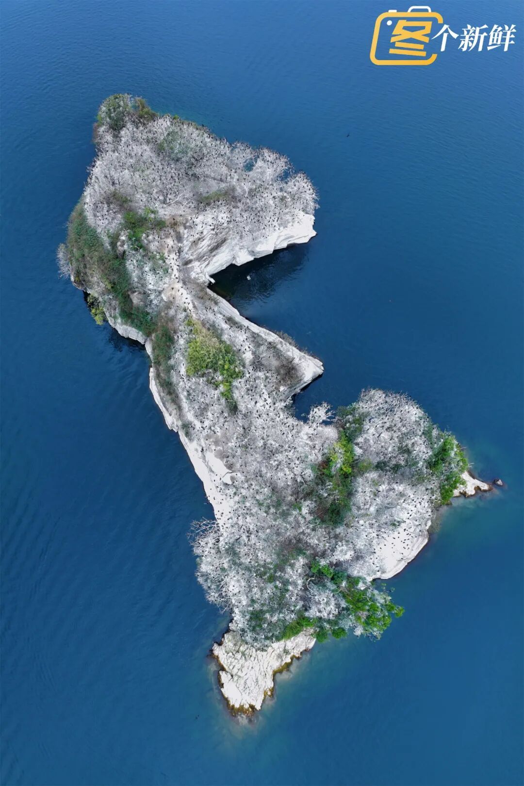 震撼！杭州千岛湖惊现一座“黑色小岛”