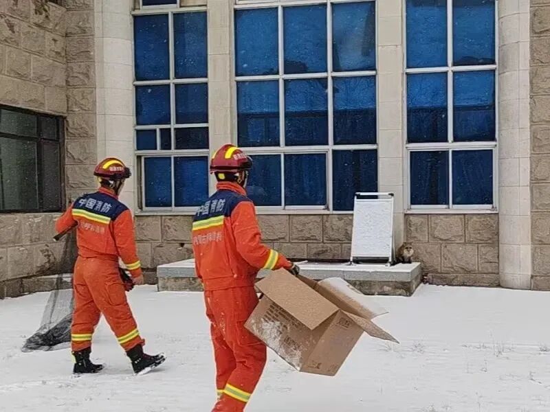 内蒙古工业大学校园惊现“萌物”!消防员都赶来了!结果… 内蒙古工业大学校园惊现“萌物”!消防员都赶来了!结果…