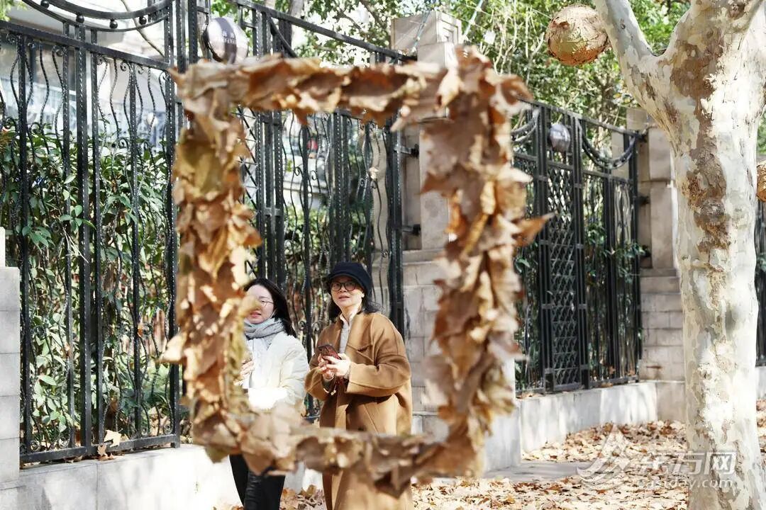 上海多条马路限定风景刷屏出圈!美出新高度,已进入倒计时,想打卡要抓紧→ 上海多条马路限定风景刷屏出圈!美出新高度,已进入倒计时,想打卡要抓紧→