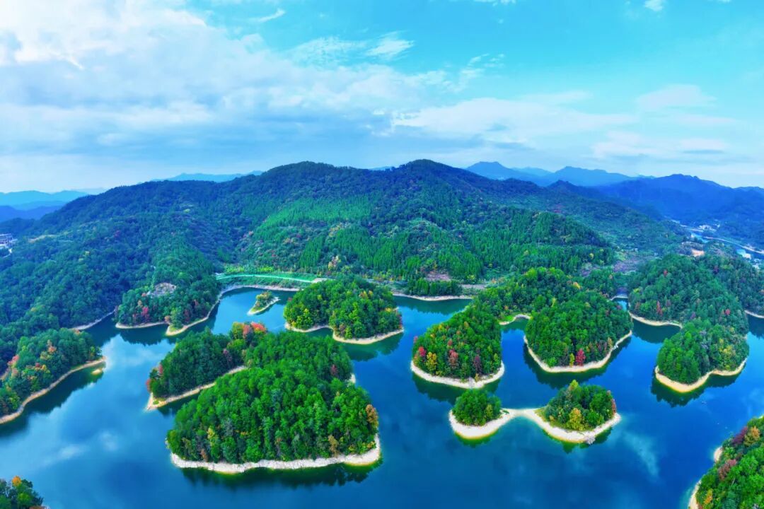 震撼！杭州千岛湖惊现一座“黑色小岛”