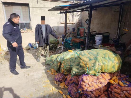 偷了1500斤玉米!这伙窃贼栽了 偷了1500斤玉米!这伙窃贼栽了