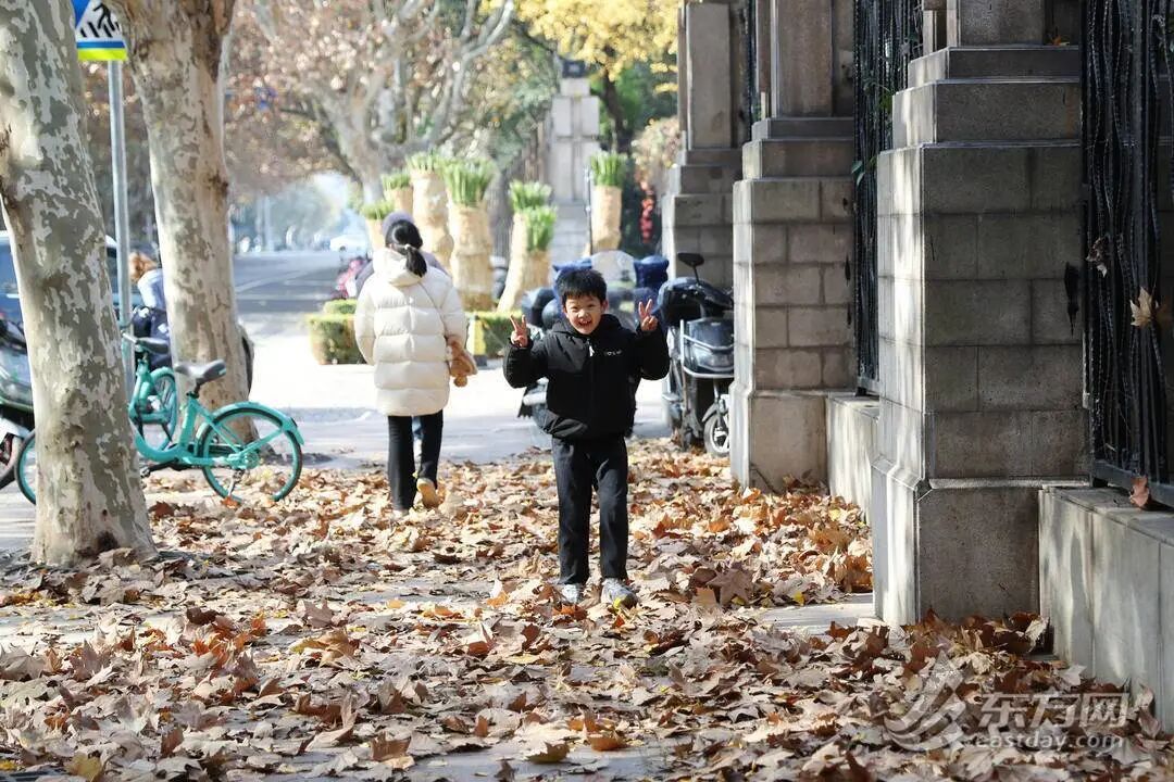 上海多条马路限定风景刷屏出圈!美出新高度,已进入倒计时,想打卡要抓紧→ 上海多条马路限定风景刷屏出圈!美出新高度,已进入倒计时,想打卡要抓紧→