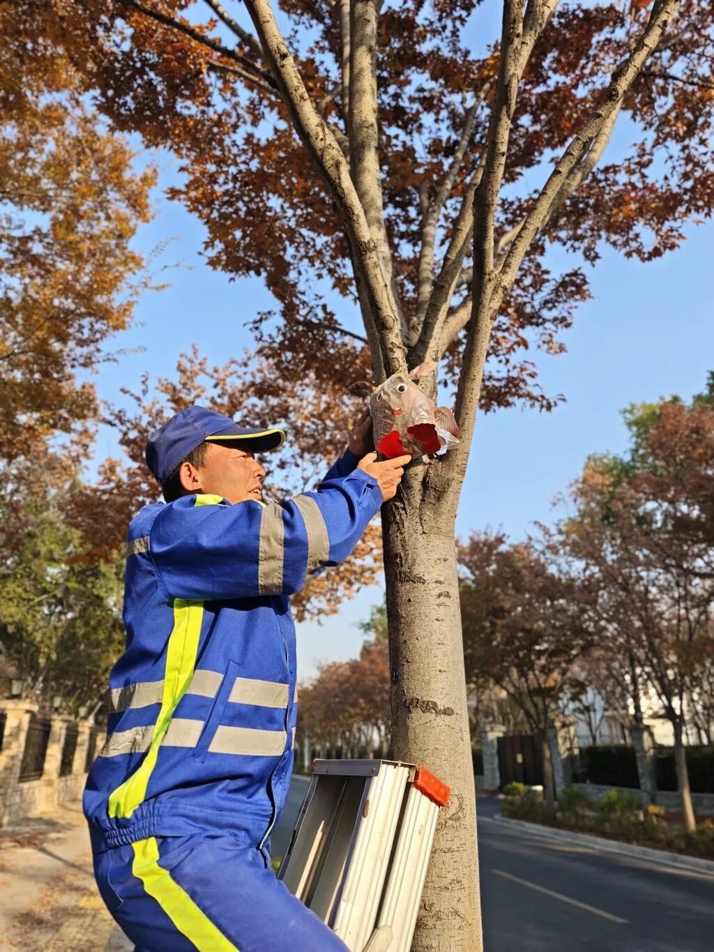 上海多条马路限定风景刷屏出圈!美出新高度,已进入倒计时,想打卡要抓紧→ 上海多条马路限定风景刷屏出圈!美出新高度,已进入倒计时,想打卡要抓紧→