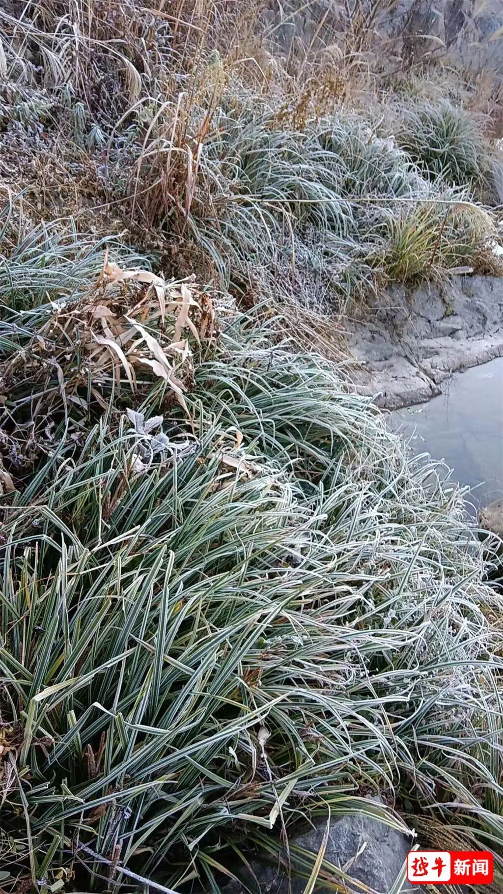 -7℃！绍兴初雪有消息了