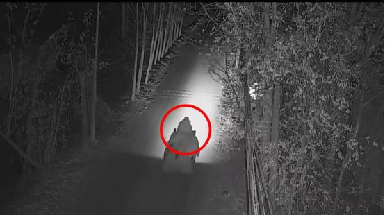 偷了1500斤玉米!这伙窃贼栽了 偷了1500斤玉米!这伙窃贼栽了