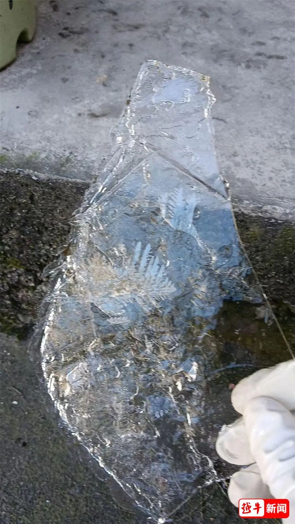 -7℃！绍兴初雪有消息了