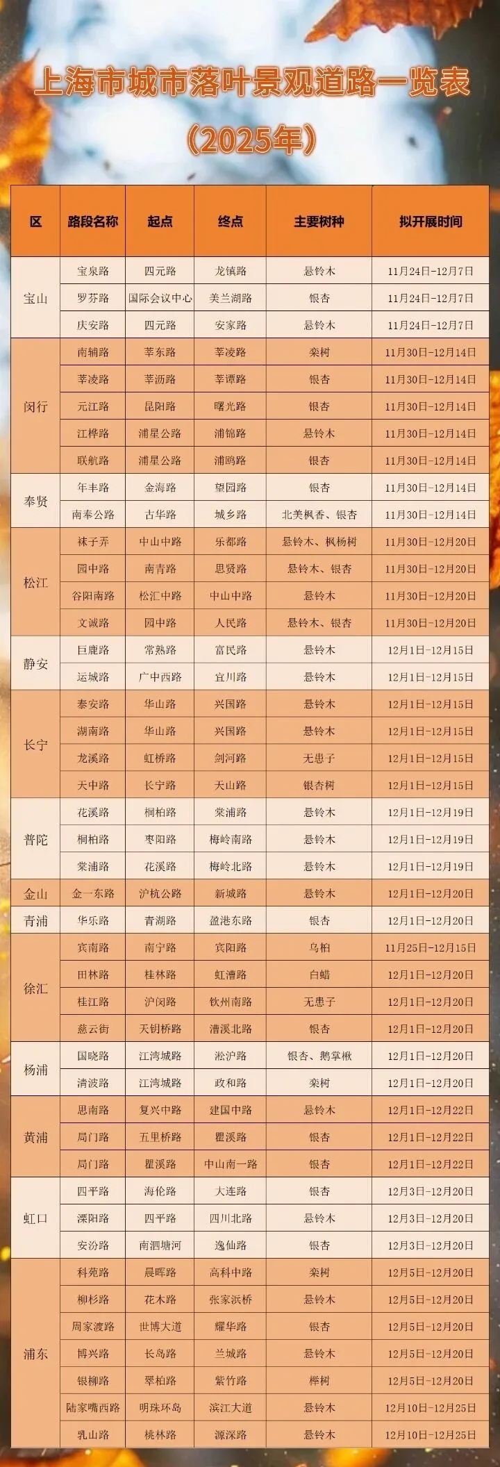 上海多条马路限定风景刷屏出圈!美出新高度,已进入倒计时,想打卡要抓紧→ 上海多条马路限定风景刷屏出圈!美出新高度,已进入倒计时,想打卡要抓紧→