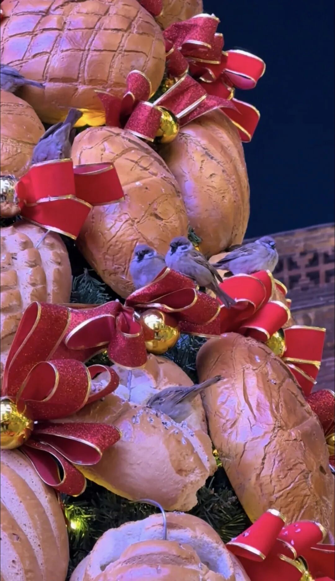 哈尔滨面包圣诞树成小鸟“冬日食堂”!面包店:吃完就补,还计划做面包鸟窝助过冬 哈尔滨面包圣诞树成小鸟“冬日食堂”!面包店:吃完就补,还计划做面包鸟窝助过冬