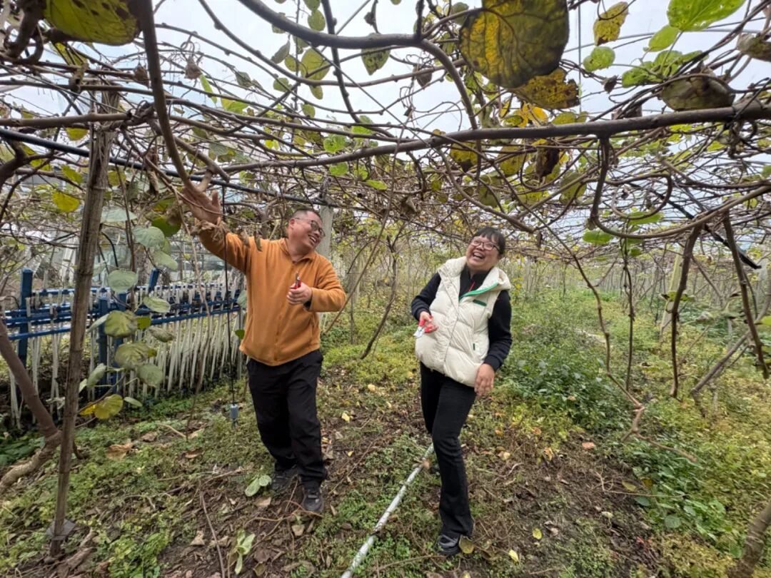 “学霸”夫妻回乡创业,80亩果园年入百万元! “学霸”夫妻回乡创业,80亩果园年入百万元!