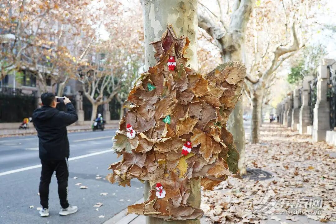 上海多条马路限定风景刷屏出圈!美出新高度,已进入倒计时,想打卡要抓紧→ 上海多条马路限定风景刷屏出圈!美出新高度,已进入倒计时,想打卡要抓紧→