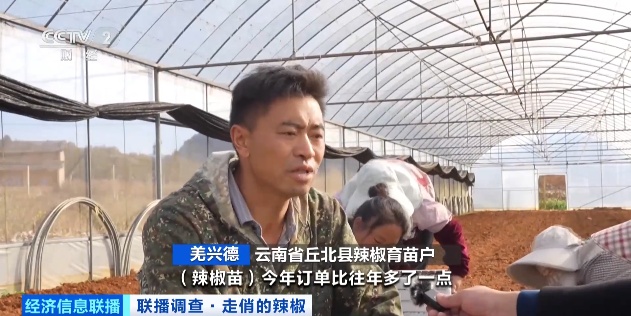 涨！涨！涨！价格飙涨！