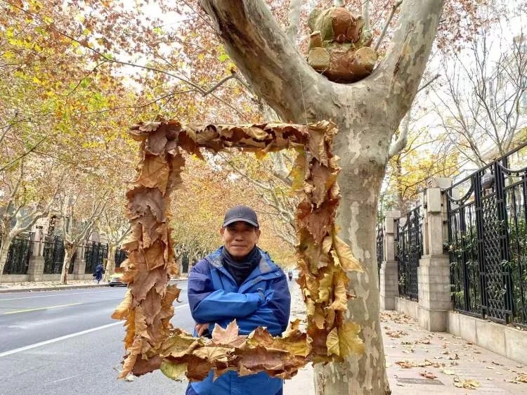 上海多条马路限定风景刷屏出圈!美出新高度,已进入倒计时,想打卡要抓紧→ 上海多条马路限定风景刷屏出圈!美出新高度,已进入倒计时,想打卡要抓紧→