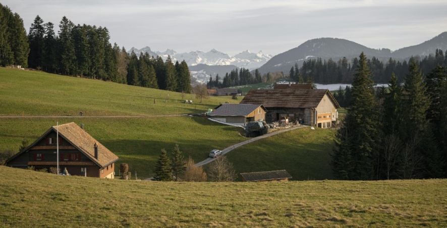 美国一18岁少年出门散步失踪，遗骸7年后在废弃烟囱中被发现