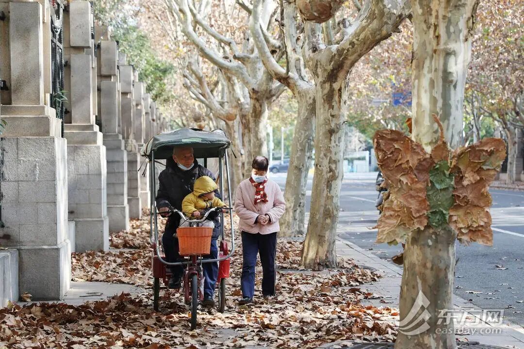 上海多条马路限定风景刷屏出圈!美出新高度,已进入倒计时,想打卡要抓紧→ 上海多条马路限定风景刷屏出圈!美出新高度,已进入倒计时,想打卡要抓紧→