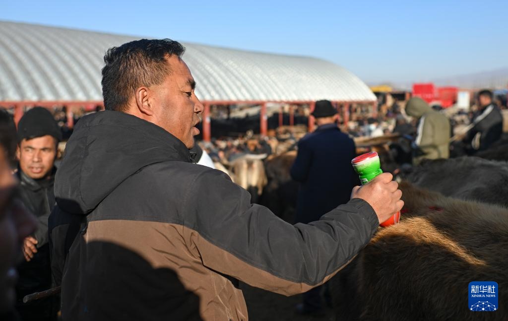 在新疆的巴扎 他们是连接牧场和市场的“纽带” 在新疆的巴扎 他们是连接牧场和市场的“纽带”