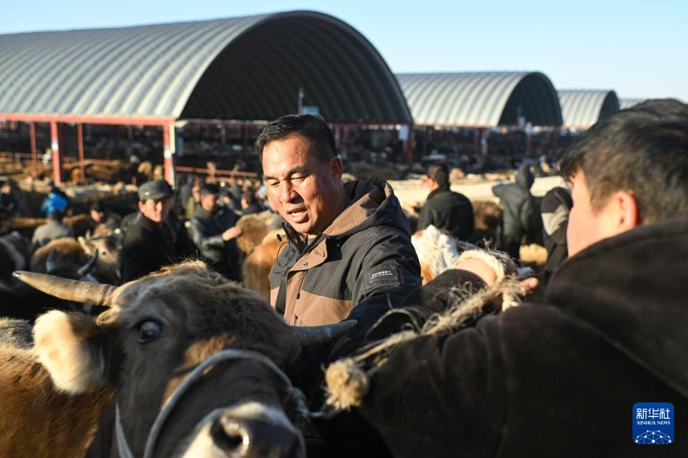 在新疆的巴扎 他们是连接牧场和市场的“纽带” 在新疆的巴扎 他们是连接牧场和市场的“纽带”