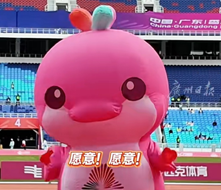 喜讯！他现场求婚成功！网友：女主角真的太厉害了