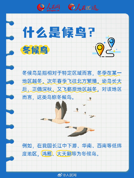长知识了!9图解码候鸟迁徙 长知识了!9图解码候鸟迁徙