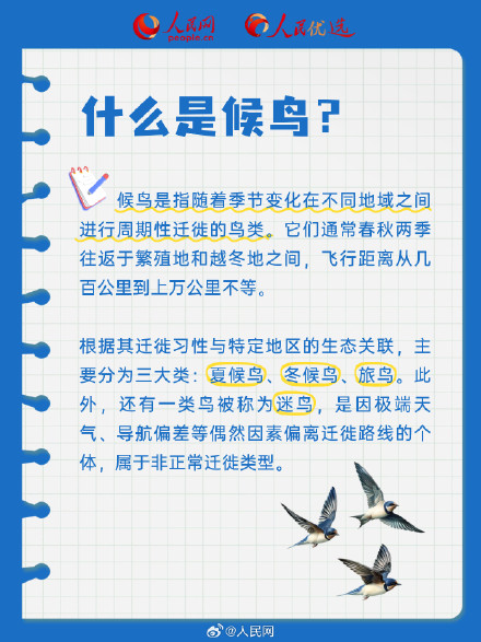 长知识了!9图解码候鸟迁徙 长知识了!9图解码候鸟迁徙