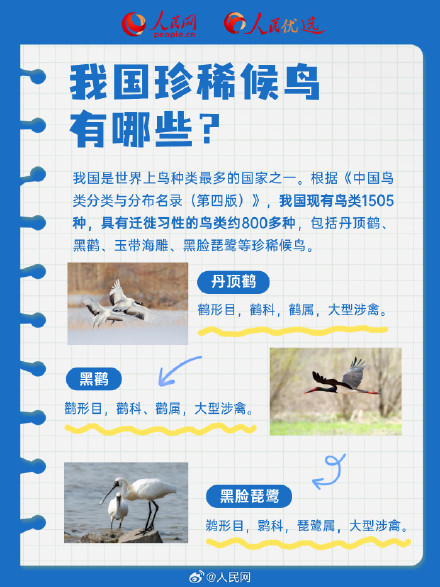 长知识了!9图解码候鸟迁徙 长知识了!9图解码候鸟迁徙