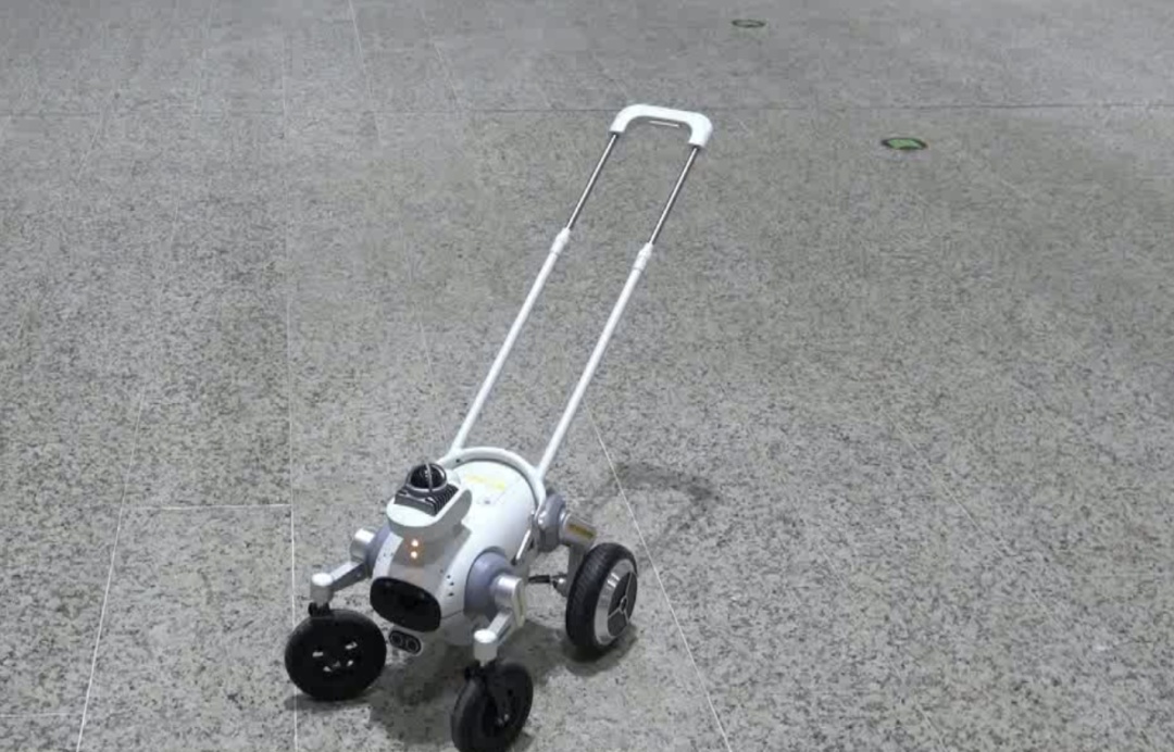 深圳地铁“智能导盲犬”上岗！有这些功能