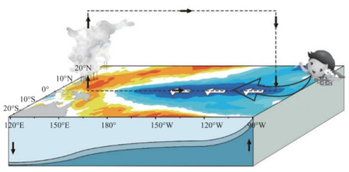 现在已进入拉尼娜状态,今冬会有多冷? 现在已进入拉尼娜状态,今冬会有多冷?
