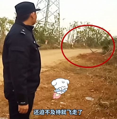 “鹰脸扫地”挽尊版——家人们,我刚用脸接了栋楼 “鹰脸扫地”挽尊版——家人们,我刚用脸接了栋楼