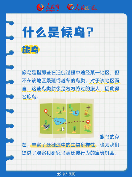 长知识了!9图解码候鸟迁徙 长知识了!9图解码候鸟迁徙