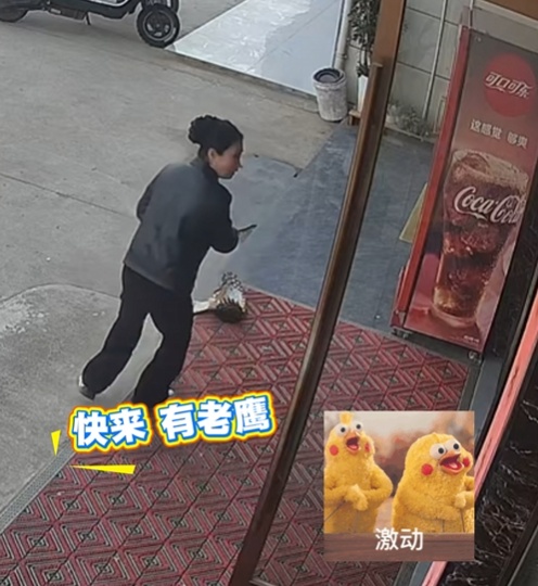 “鹰脸扫地”挽尊版——家人们,我刚用脸接了栋楼 “鹰脸扫地”挽尊版——家人们,我刚用脸接了栋楼