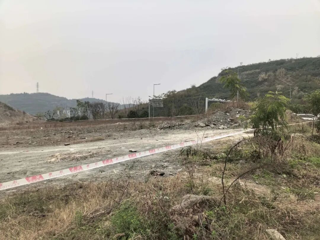 “中央公园挖宝”官方最新回应:确有常见化石,呼吁保护勿开挖! “中央公园挖宝”官方最新回应:确有常见化石,呼吁保护勿开挖!